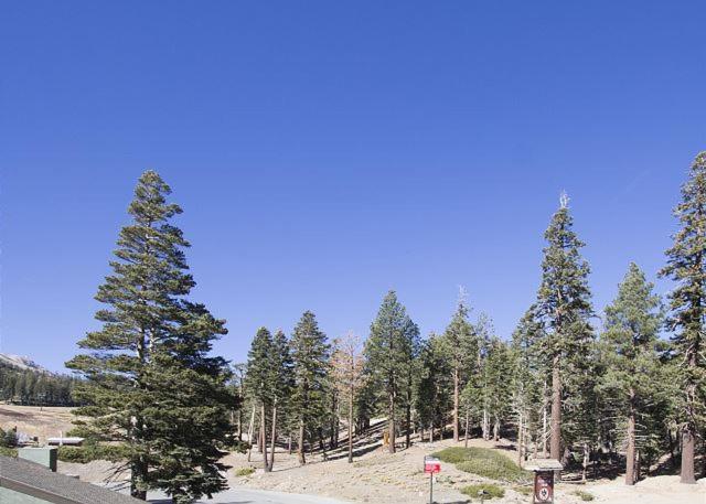 Austria Hof Lodge Mammoth Lakes Exterior foto